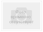 Рапид 390 цена 450т.р.